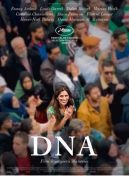 Okadka - DNA