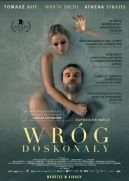 Okładka - Wróg doskonały