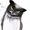 Avatar użytkownika - livingbooksx
