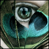 Avatar użytkownika - martyna97060