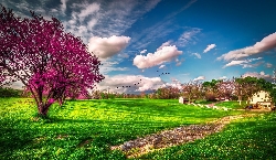 Avatar uytkownika - Marix