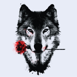 Avatar użytkownika - Aspra
