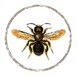 Avatar uytkownika - bb01