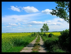 Avatar uytkownika - KazimieraM