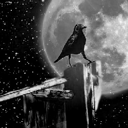 Avatar uytkownika - ZapomnianeSny