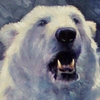 Profil użytkownika Cogito