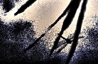 po drugiej stronie lustra (2) 