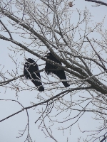 Troch� zimno, panie s�siedzie