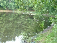 Gdy�ska natura......