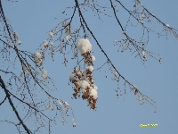 Pocz�tek grudnia 7