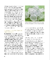 Hormony pod kontrol - 2