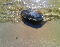 Nad brzegiem Wis�y