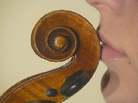 Do ucha, a G�ucha Nies�ucha.