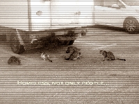 Homeless, not only people