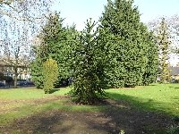 A u nas ju� wiosna!