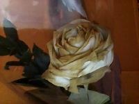 tylko Tobie dam ... bia�� r��