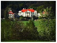 Pa�ac w �mie�owie