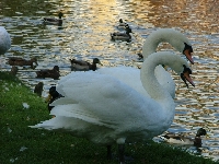 Czym�e jest pi�kno..?