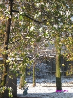 Atak zimy jesieni� 4