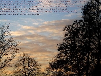 zdj�cie moje, tekst p.coelho