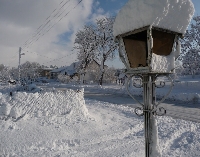 to zdj�cie ma co� w sobie...