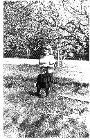 Deski u n�g niewiasty