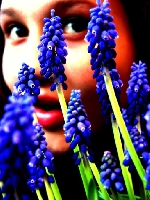 za szafirami czai sie 'nuda'