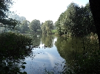 Uroczysko,jesie� i pora odlecie�