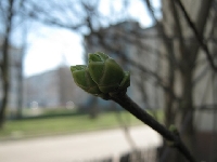 �ycie zamkni�te w p�czku