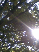 Uwielbiam fotografowa� przyrod�