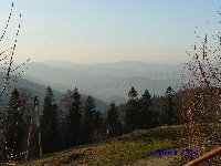 Widok z Hali Boraczej