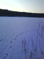 zamarzni�te jezioro