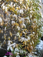 Atak zimy jesieni� 1