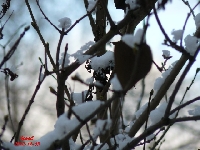 Zima zaatakowa�a w grudniu 1