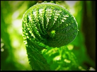 Ka�dy ma prawo marzy� inaczej...