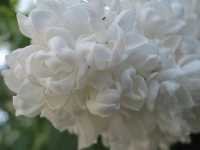 �wiat obok nas - bia�y bez