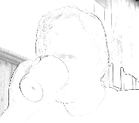 Rozp�ywam si� w rzeczywisto�ci, pozosta�y ju� tylko kontury