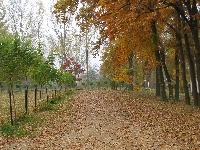 Scie�ka do jesieni