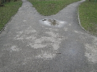 Kt�ra droga prowadzi do celu?