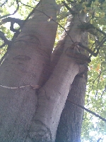 To te� w parku:)))