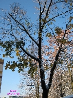 Atak zimy jesieni� 3