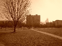 chc� zosta� fotografem