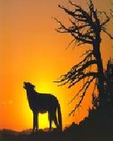 moja rzeczywisto��