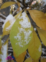 Atak zimy jesieni� 2