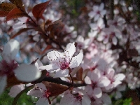 Zas�urzona pi�kno�� �wiata :)