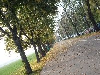 Z�ota polska jesie�...