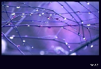 Deszczowy Optymizm...