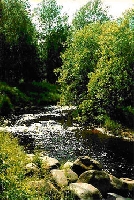 Schnheiten der Natur in Petrosawodsk