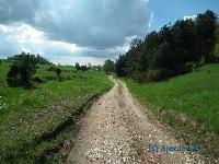 Szlak z arek w kierunku pustelni w Czatachowej