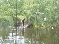 Podr� z Arizon�... (Gdynia)